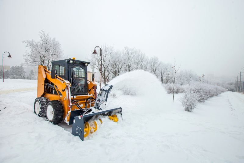 Commercial Snow Removal detail