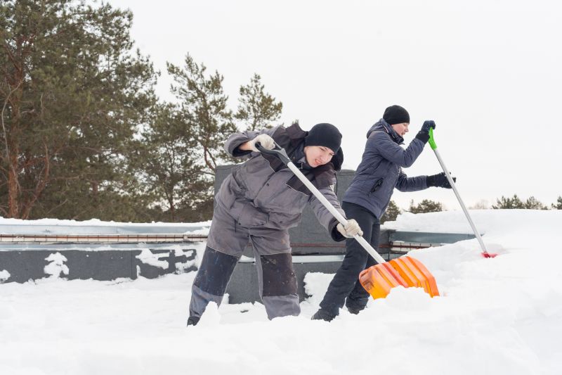 Roof Snow Removal detail